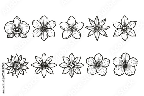 Floral outline icon set. Beautiful flowers, plants, nature themed vector icons collection