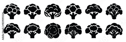 A collection of cauliflower silhouette icon set. simple design black color and white background.