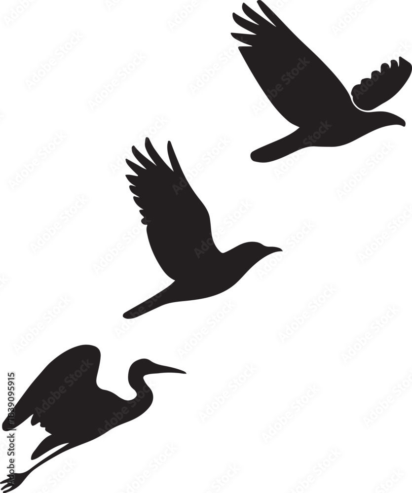 Fototapeta premium Collection of Three Black Flying Bird Silhouettes: Hawk, Raven, and Heron
