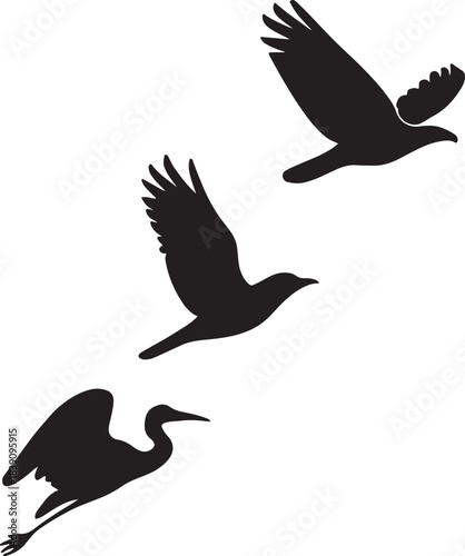 Collection of Three Black Flying Bird Silhouettes: Hawk, Raven, and Heron