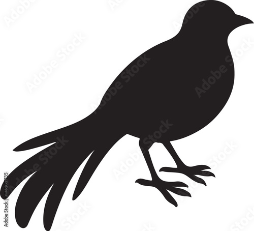 Elegant Black Silhouette of a Crested Heron or Crane Standing on One Leg