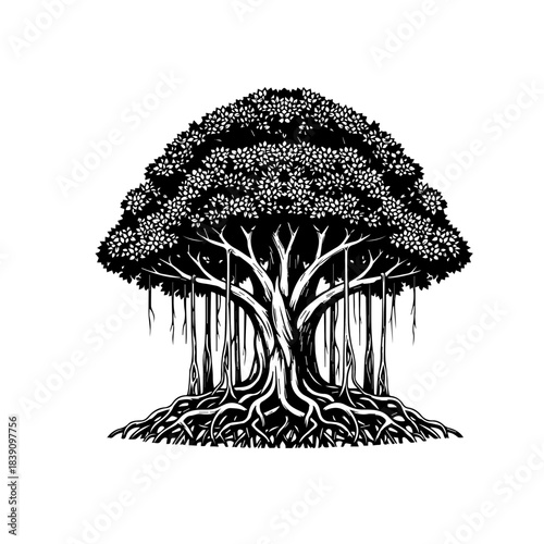 Banyan Tree With Hanging Roots Illustration