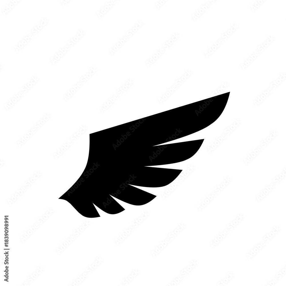 Fototapeta premium Wings silhouette 