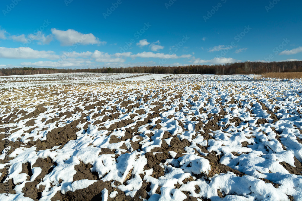 Fototapeta premium Melting snow on a rural plowed field, view on a sunny winter day