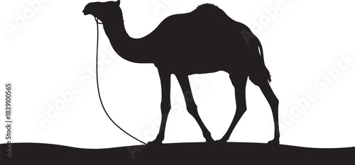 Silhouette of a camel walking on sand Keywords: camel, silhouette, desert, animal, wildlife