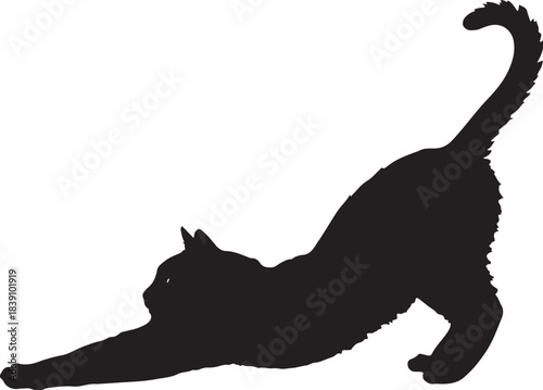 Black silhouette of a cat stretching on a white background