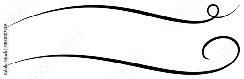 Hand Drawn Ink Swirls and Calligraphic Flourishes Decorative Lines Vector Set