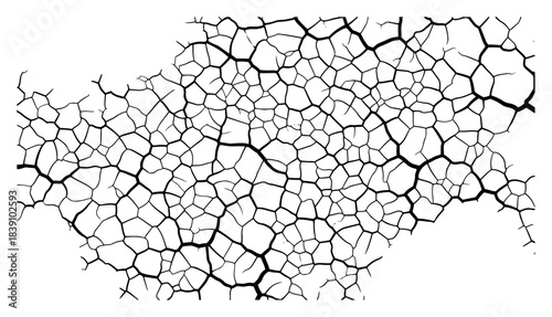 Abstract Cracked Earth Texture Vector Background Dry Ground Soil Pattern