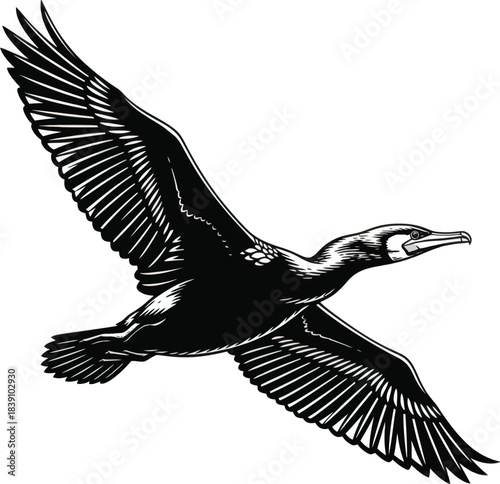 Flying Bird Silhouette Vector Illustration