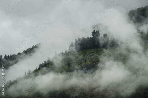 View of ethereal mist clinging to the verdant slopes, enveloping the trees in a soft, cloudy embrace, creating a serene, dreamlike atmosphere, Paro, Bhutan.