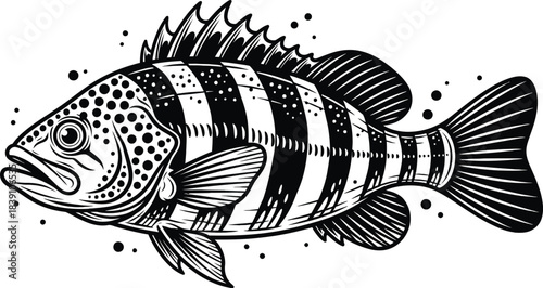 Striped Fish Illustration Vector