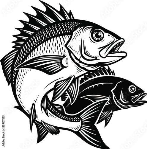 Two Fish Detailed Vector Illustration