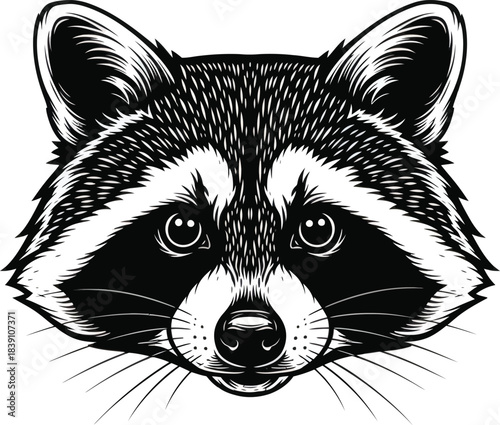 Detailed Raccoon Head Vector Artwork