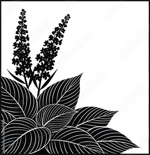 Botanical Leaves and Flower Spikes Silhouette Vector