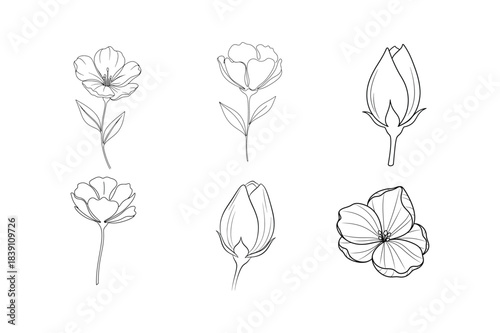 set of black and white flowers