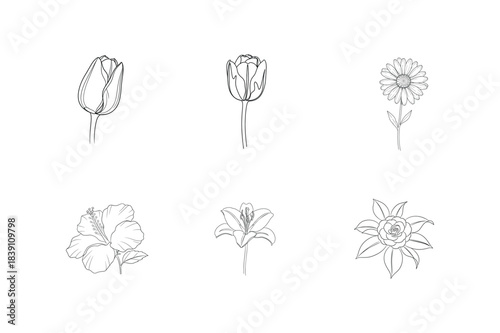 Minimal Flower Line Art Illustration Set.
