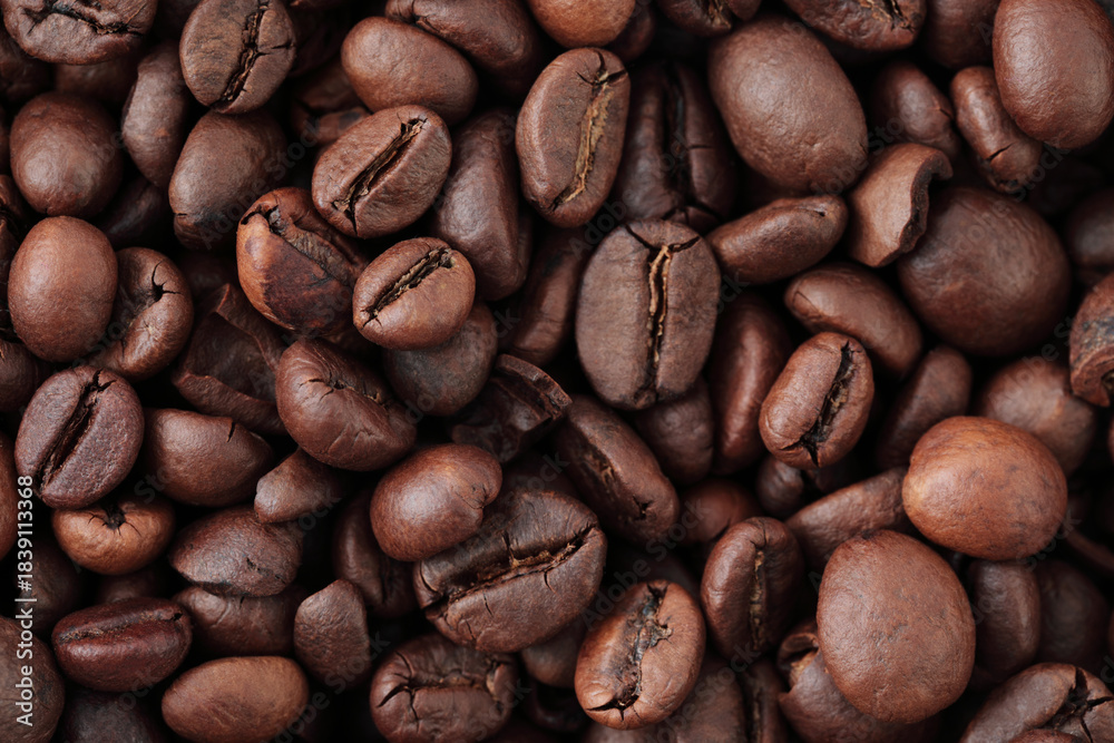 Fototapeta premium Coffee beans background, isolated. Perfect for coffee, beverage, food, cafe, and culinary design projects. REAL PHOTO, NOT GENERATIVE AI