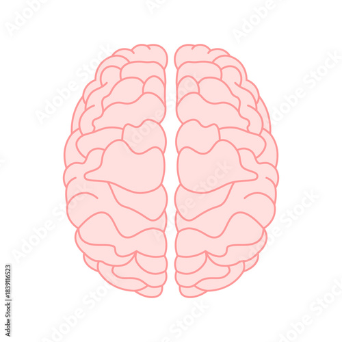 Brain icon, Brain Logo silhouette