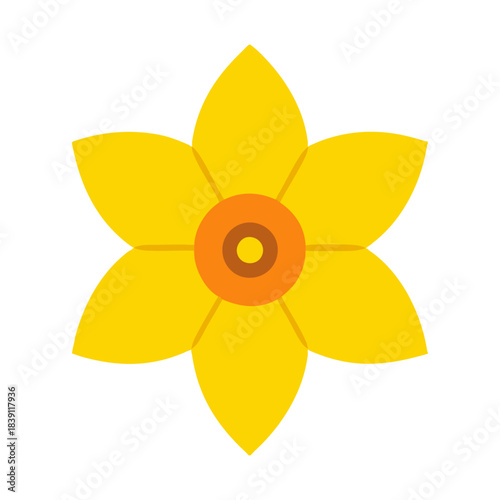 Żonkil narcyz ilustracja