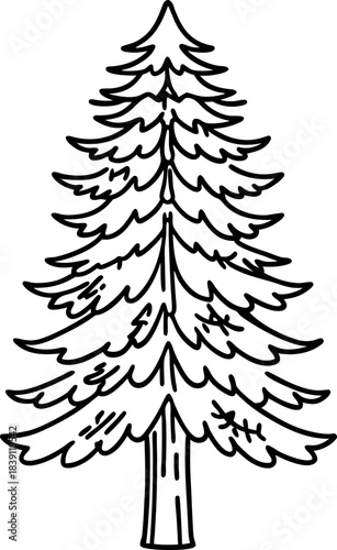Simple evergreen tree outline black and white fir silhouette, minimal nature illustration, forest icon design