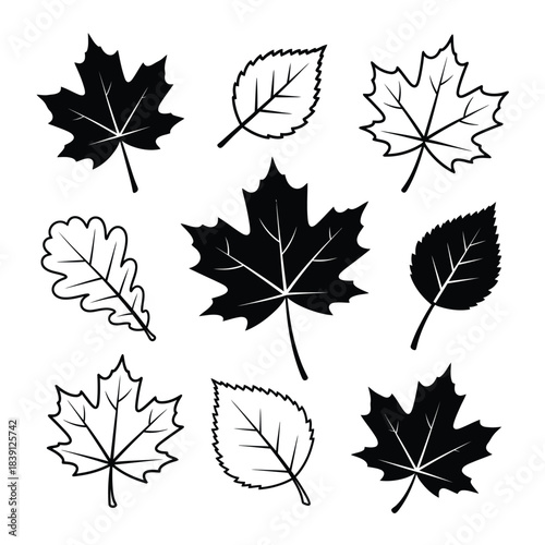 Collection of nine autumn leaf silhouettes and outlines