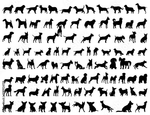 Various Dog Breeds Silhouette Set Vector Collection for Pet Design and Branding