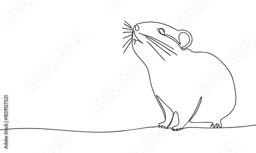 Minimalist Continuous Line Drawing of a Small Rodent Looking Up