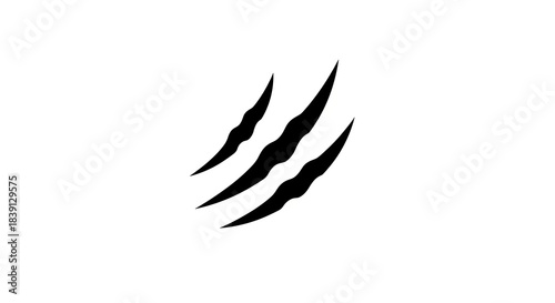 Claw Marks - A Symbol of Aggression and Power.