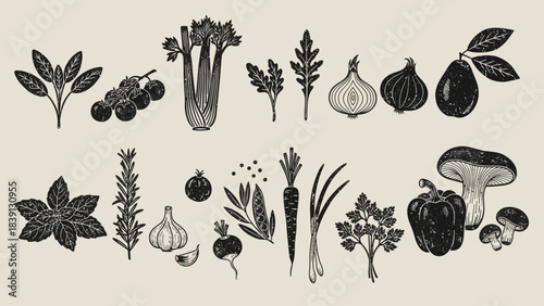 Botanical Illustrations, Vegetables and Herbs, Nature, Art, Vintage Style, Flat Lay View, Organic Concept