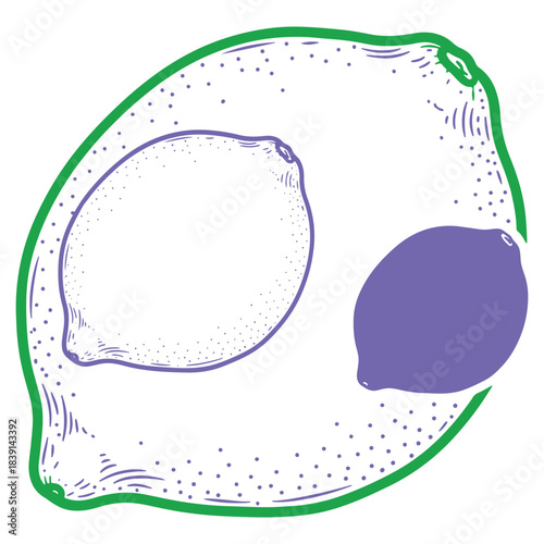 Adobe Illustrator Artwork