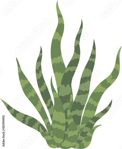 Green snake plant drawing for modern home decor