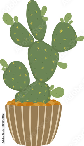 Potted cactus plant houseplant home decoration illustration