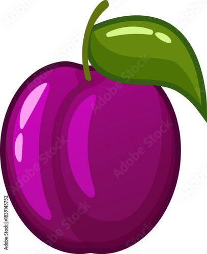 Purple plum fruit with green leaf vector illustration
