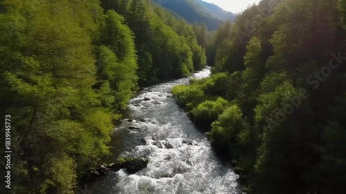 Swift River Rapids Through Lush Forest Hills