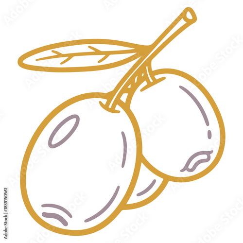 Simple line art illustration of two healthy organic olives on a small branch with a single delicate leaf depicting fresh natural produce perfect for Mediterranean food designs and cooking concepts