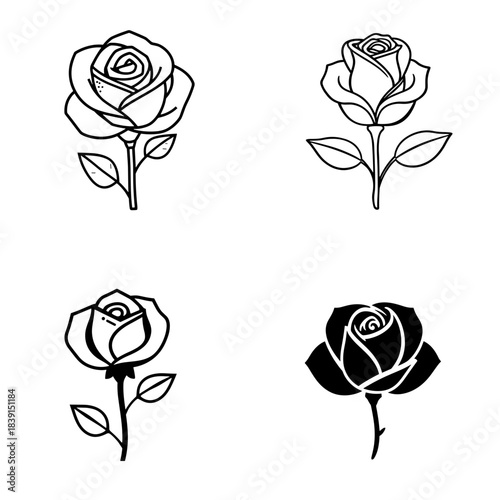 vector set of rose flower variants illustration, collection of floral designs with multiple rose styles; useful for botanical themes, romance graphics, and decorative layouts