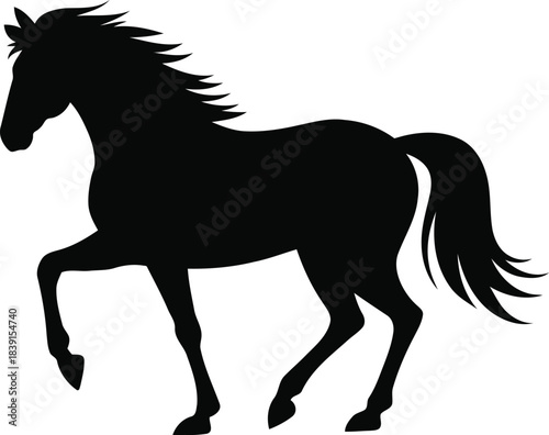 Majestic black horse silhouette in motion showing power and grace