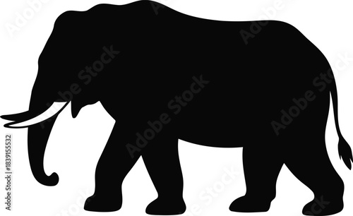 Majestic african elephant silhouette against a white background