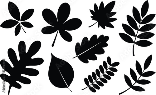 Collection of various autumn leaves in black silhouette style