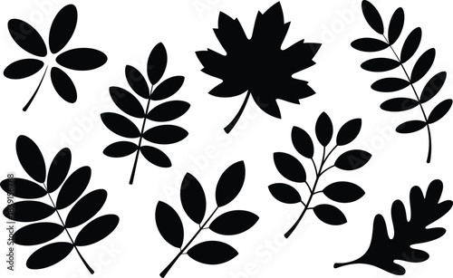 Variety of leaf silhouettes in black on white background