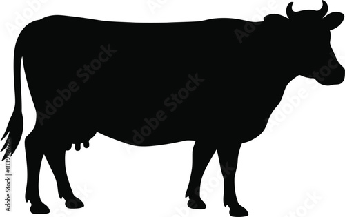 Black cow silhouette standing profile isolated on white background