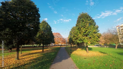 Aerial flythrough along a path in a city park during golden autumn, showing seasonal trees, fallen leaves, and public green space under blue sky.