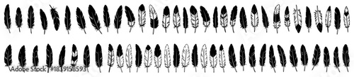 Hand drawn feather borders set vector sketch style bird plume dividers