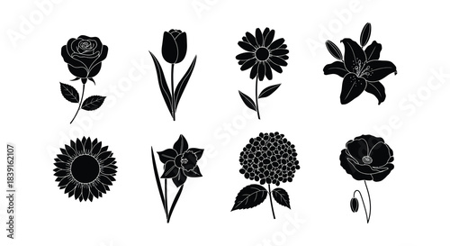 A collection of various black silhouette floral designs and botanical illustrations