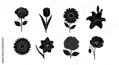 A collection of various black silhouette floral designs and botanical illustrations