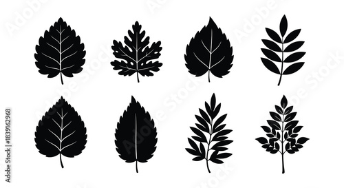 A collection of various black silhouette leaf shapes on a white background