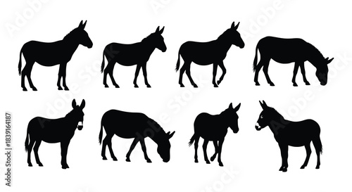 Silhouette collection of donkeys in various poses and perspectives