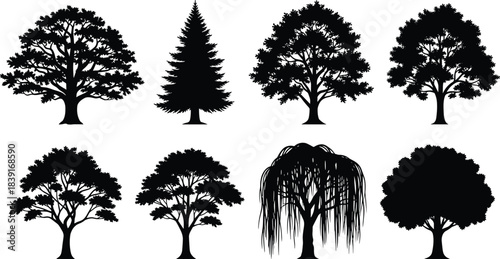 Diverse Black Tree Silhouettes Vector Collection: Oak, Pine, Maple, and Willow Set, Nature Woods, Forest, Park, and Garden Icon Pack, Isolated Elements.