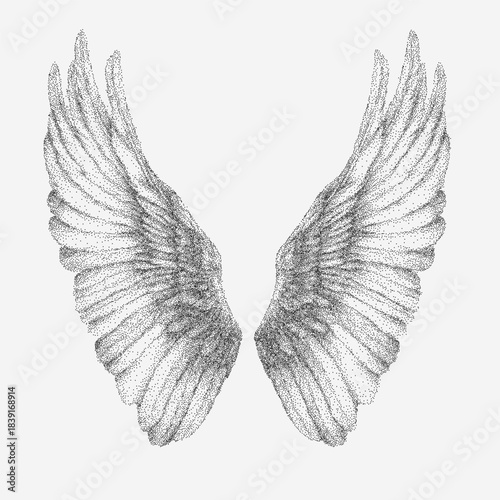 Detailed drawing of wings with layered feathers, soft pencil shading, paper grain texture and stipple details, light dust and sketch imperfections.