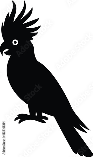 Black silhouette of a cockatoo bird facing left profile